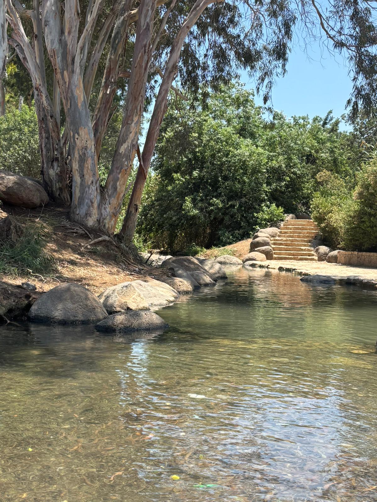 מעיין חורשת גדעון – עמק המעיינות