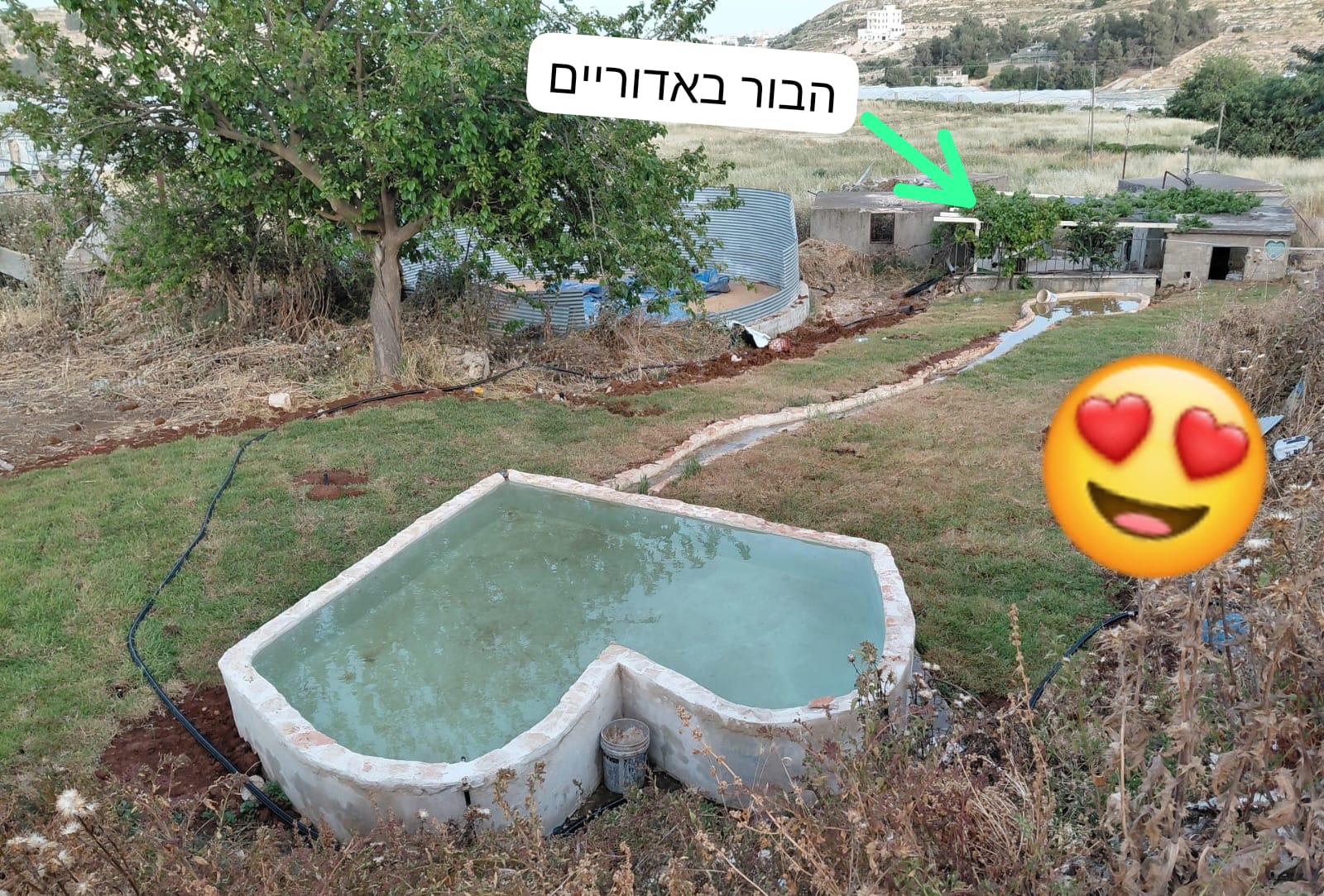 שכשוכית לזכרו של ידידיה לב  