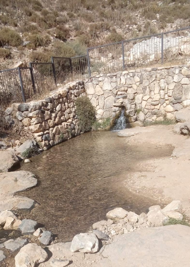 עין עלווה