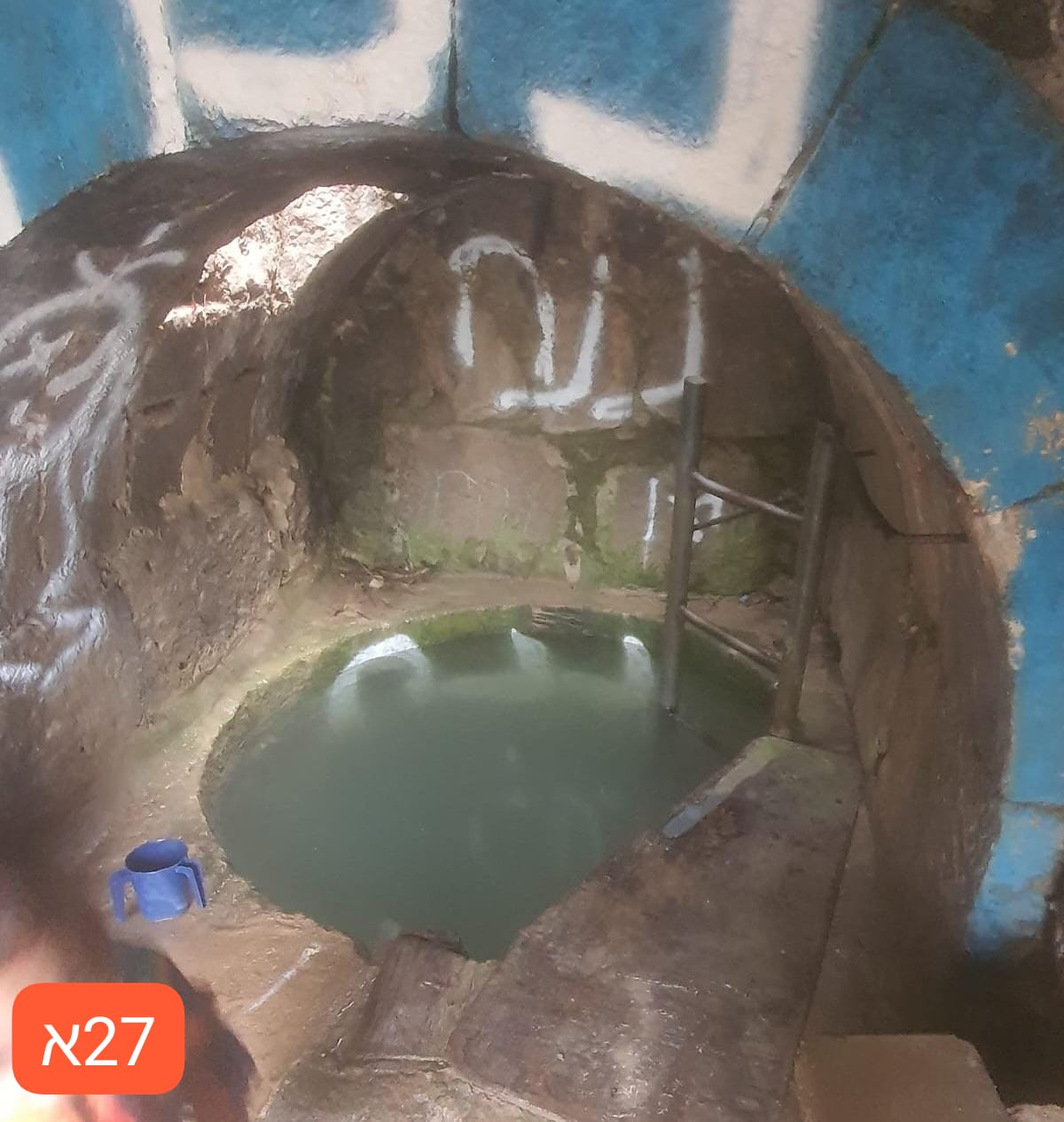 עיינות דקלים