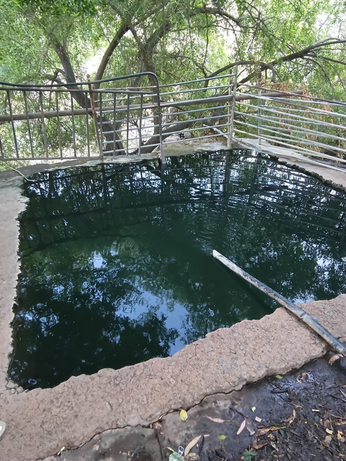 מעיין הבוקרים