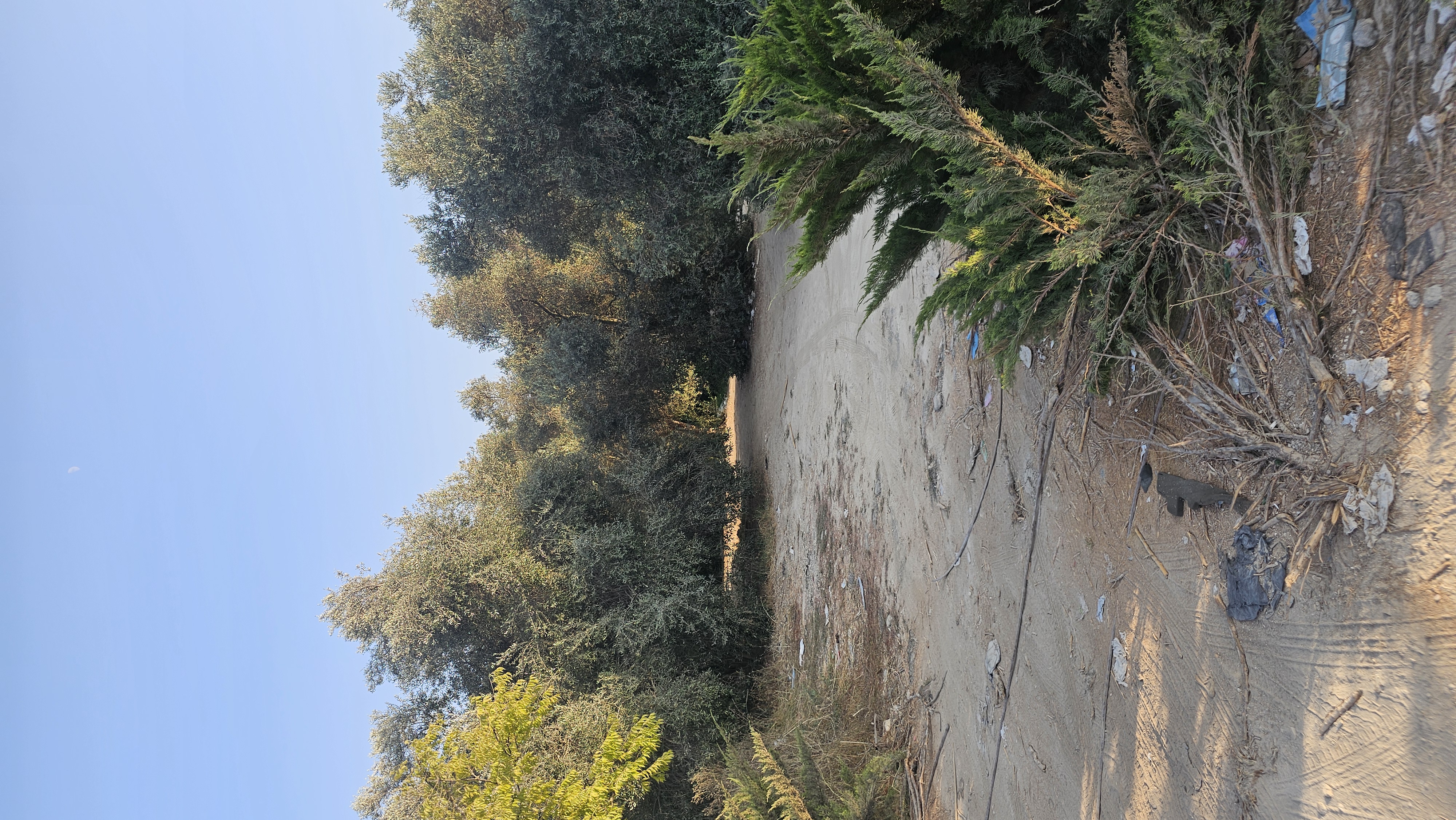 מעיין השמחה