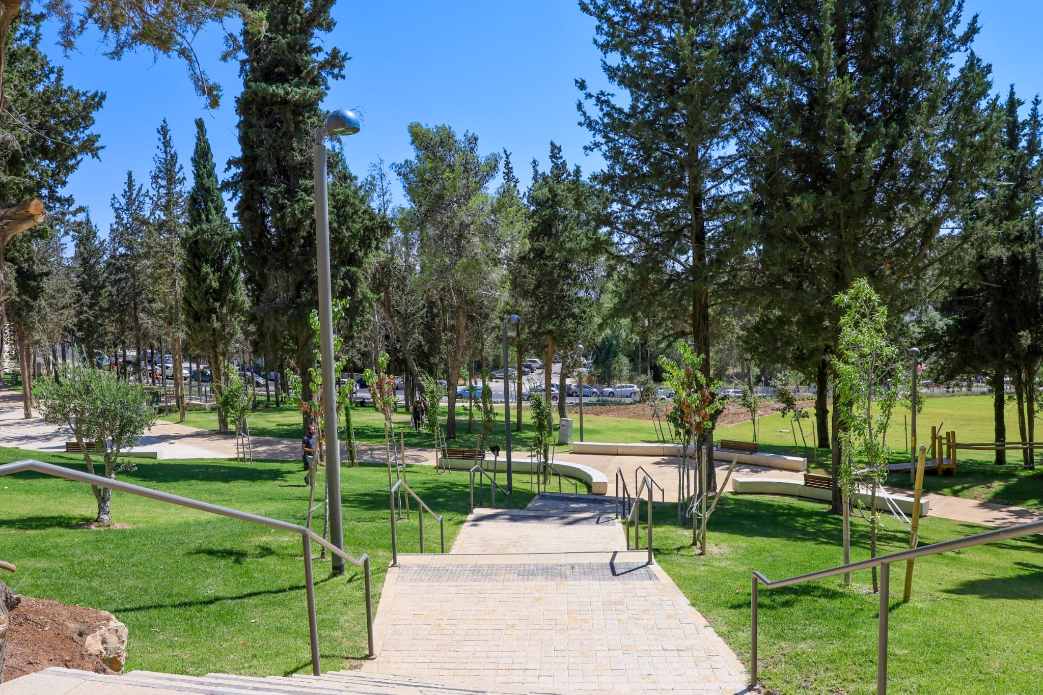 פארק רופין