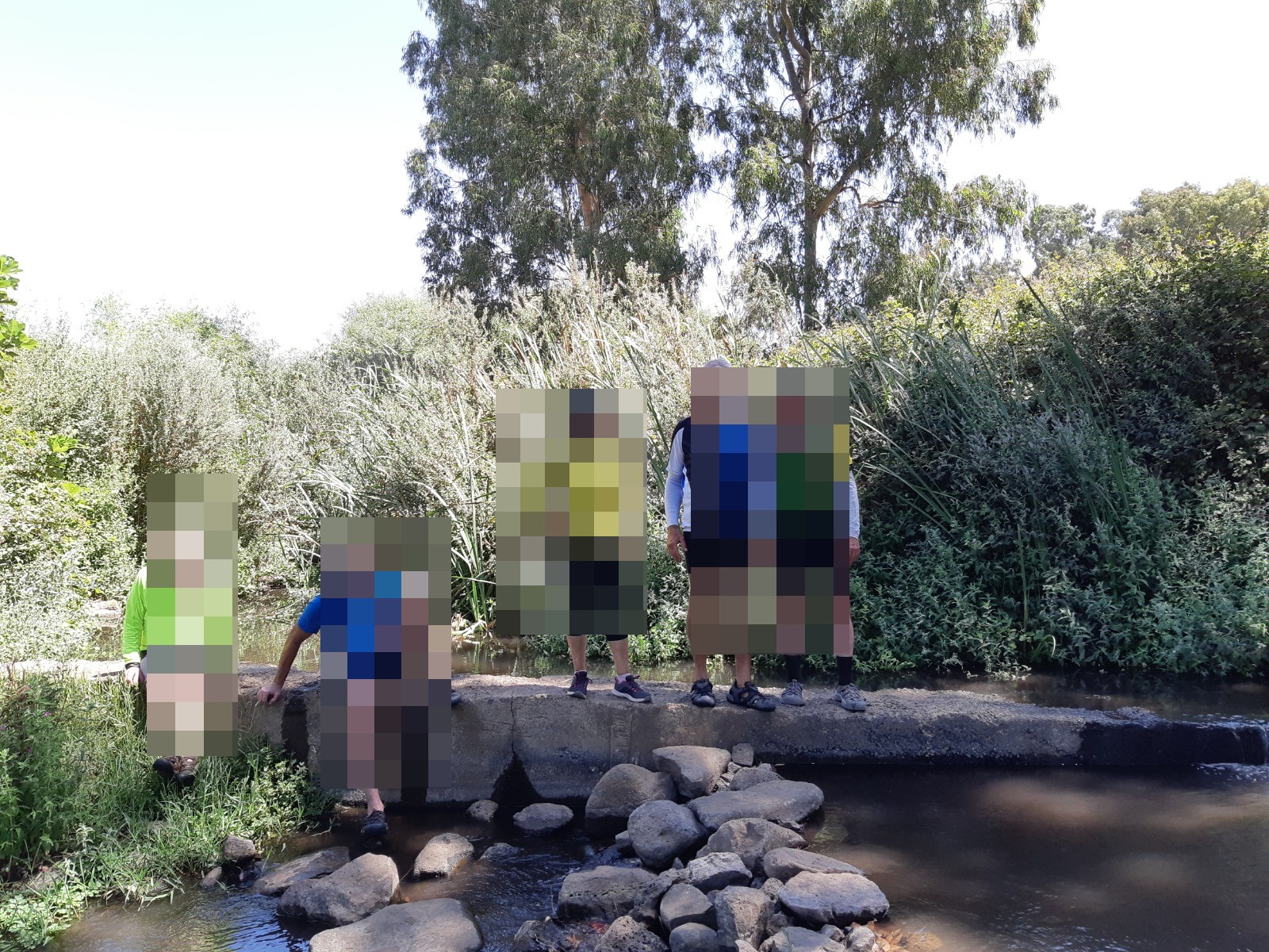 בריכת פאחם