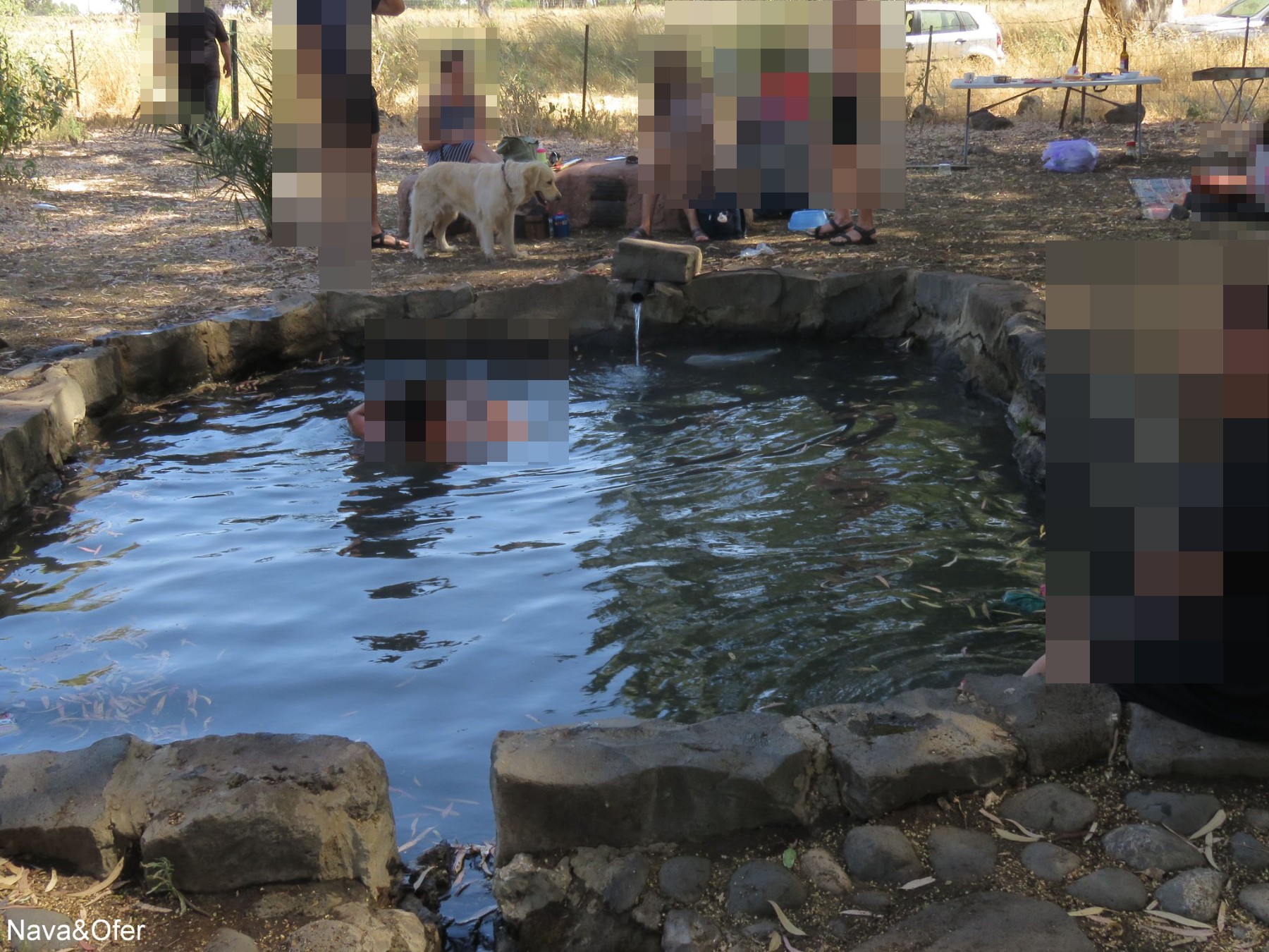 עין ידידיה