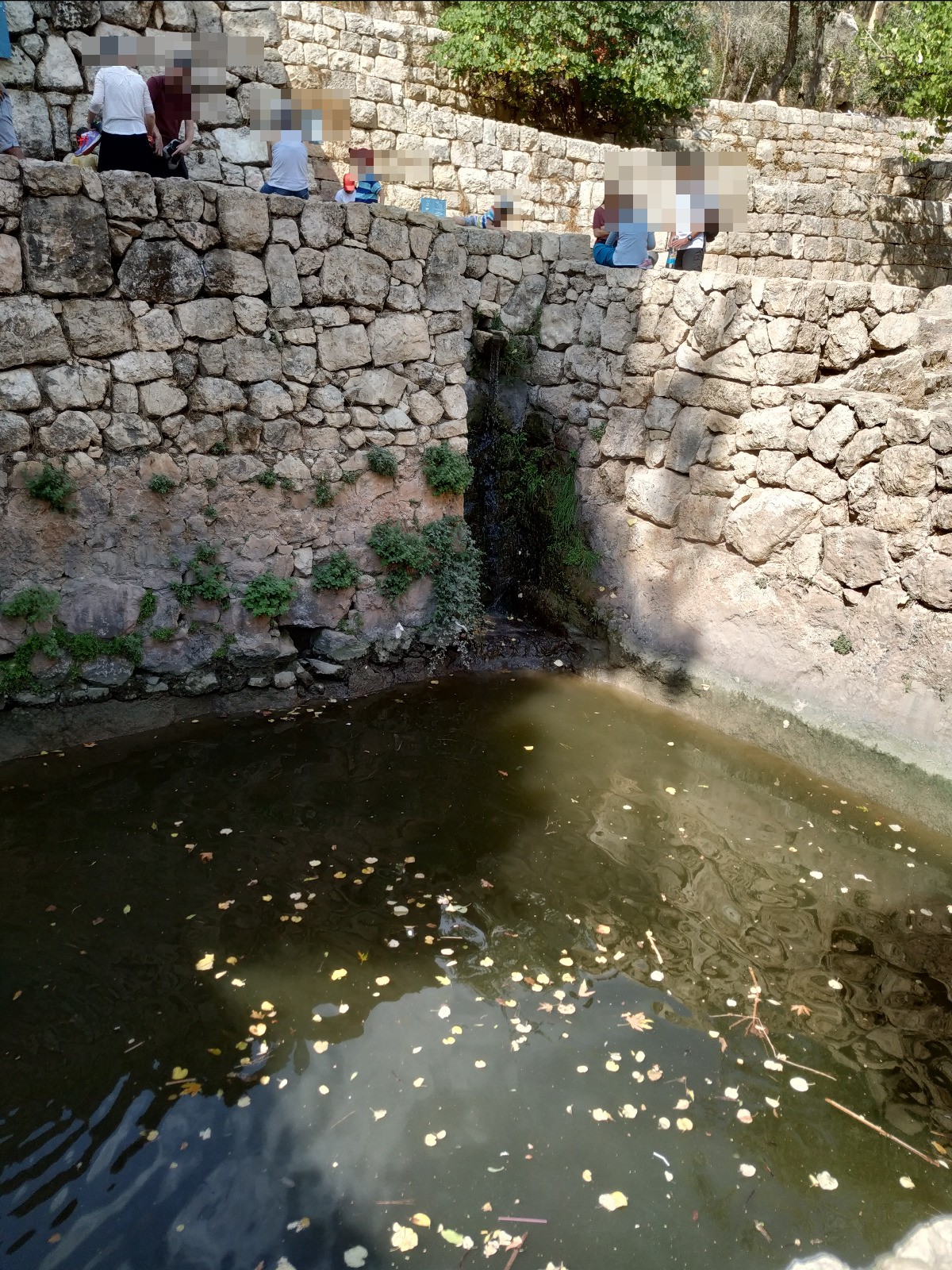 עין סטף
