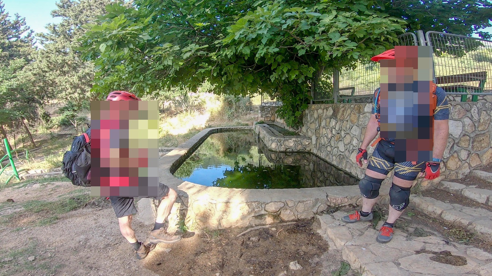 עין רועים