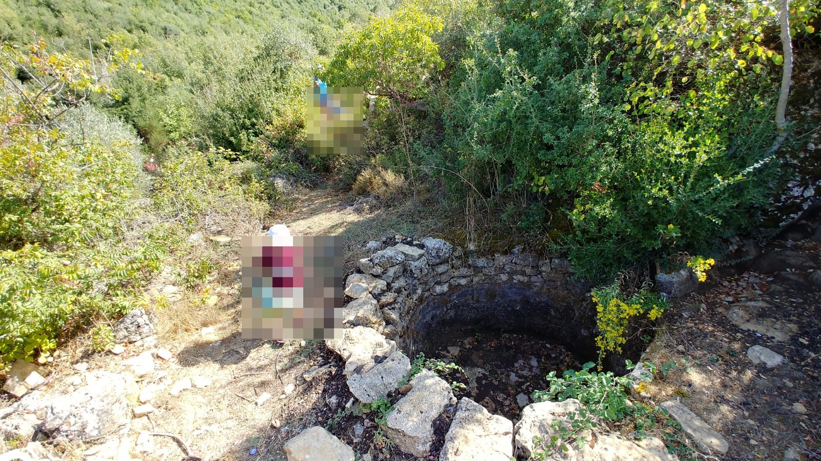 עין שביל