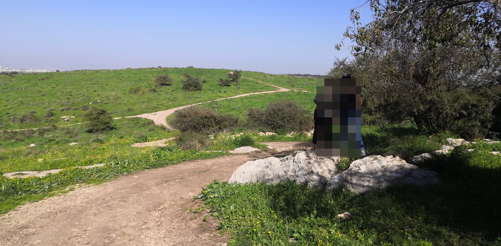לולאת יער מודיעין (פאתי)