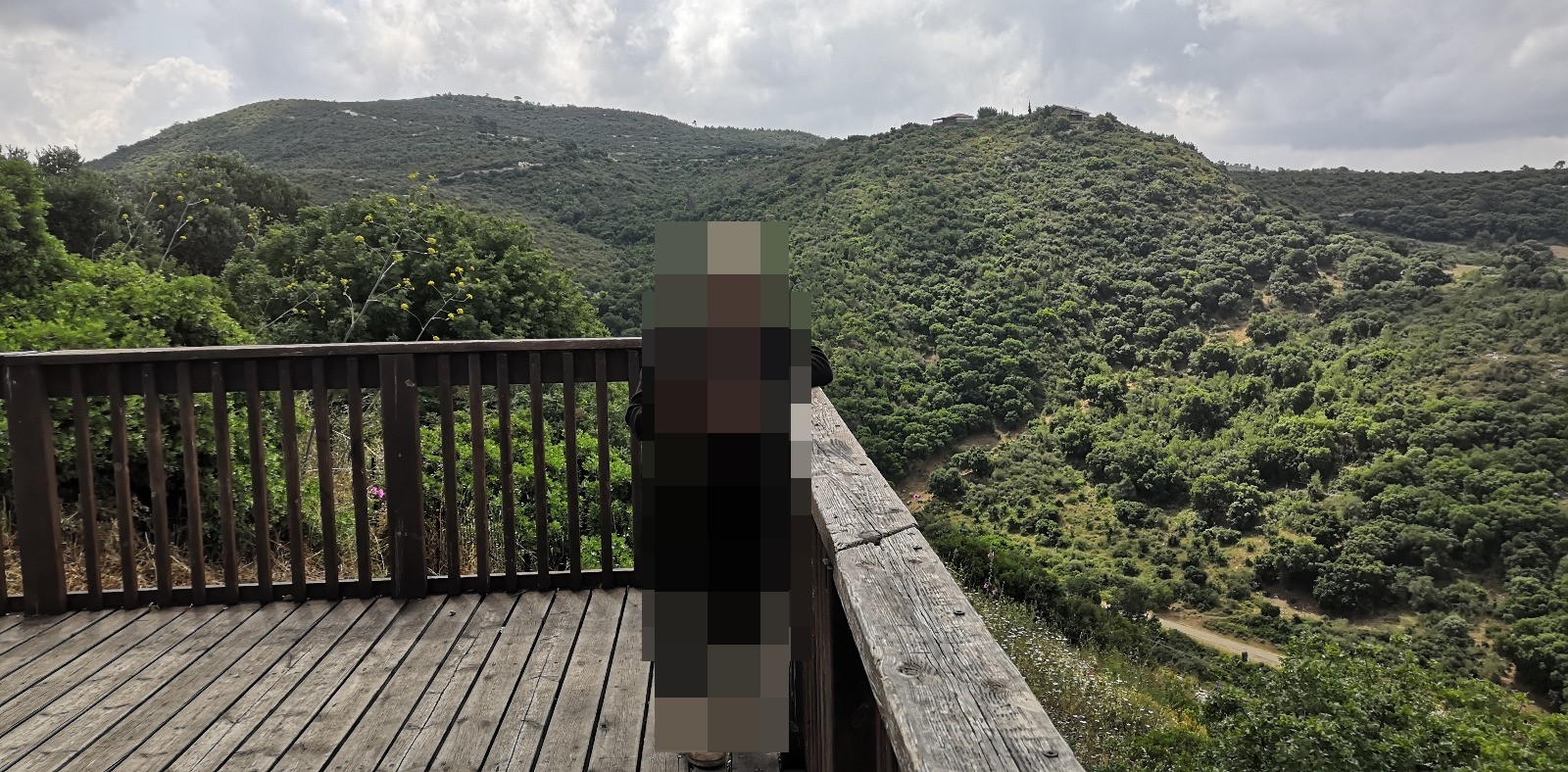 לולאת משמר הכרמל