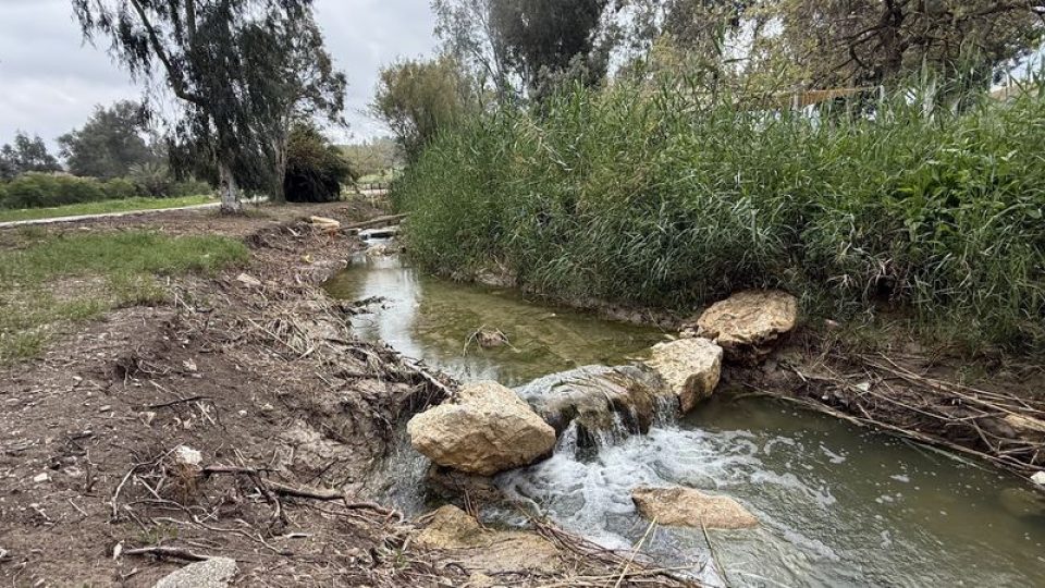 פארק האקליפטוס – פארק מעיינות אורי וישעי